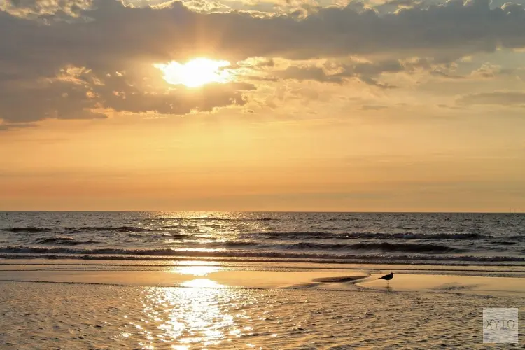 Gemeente Katwijk, Dunea en Rijnland samen aan de slag voor verbetering waterkwaliteit in Katwijk