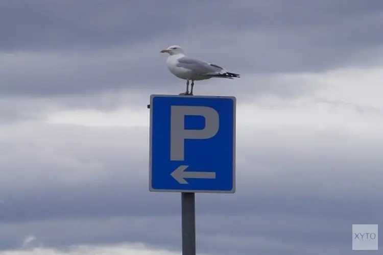 College streeft met nieuw parkeerbeleid naar gezonde balans tussen autoparkeren en leefbaarheid