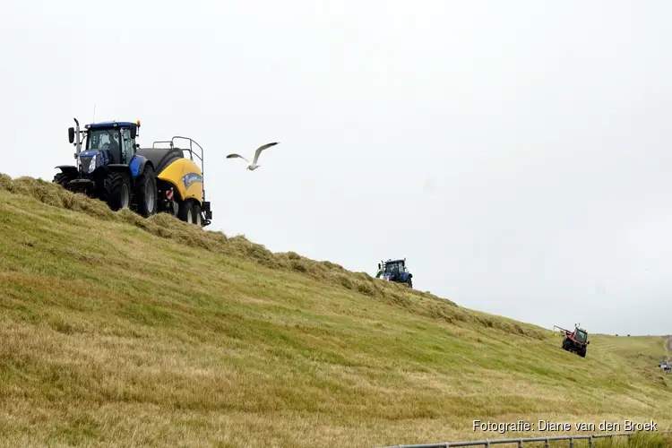 Minder maaien voor meer biodiversiteit