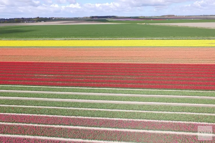 Bollenstreek slaat handen ineen voor verbetering Waterkwaliteit